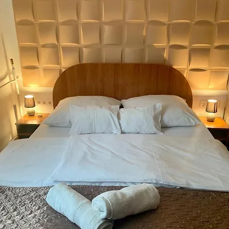 Dorottya Vendeghaz *