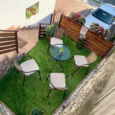 Dorottya Vendeghaz *